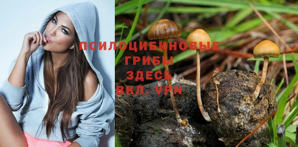 бошки Алексеевка